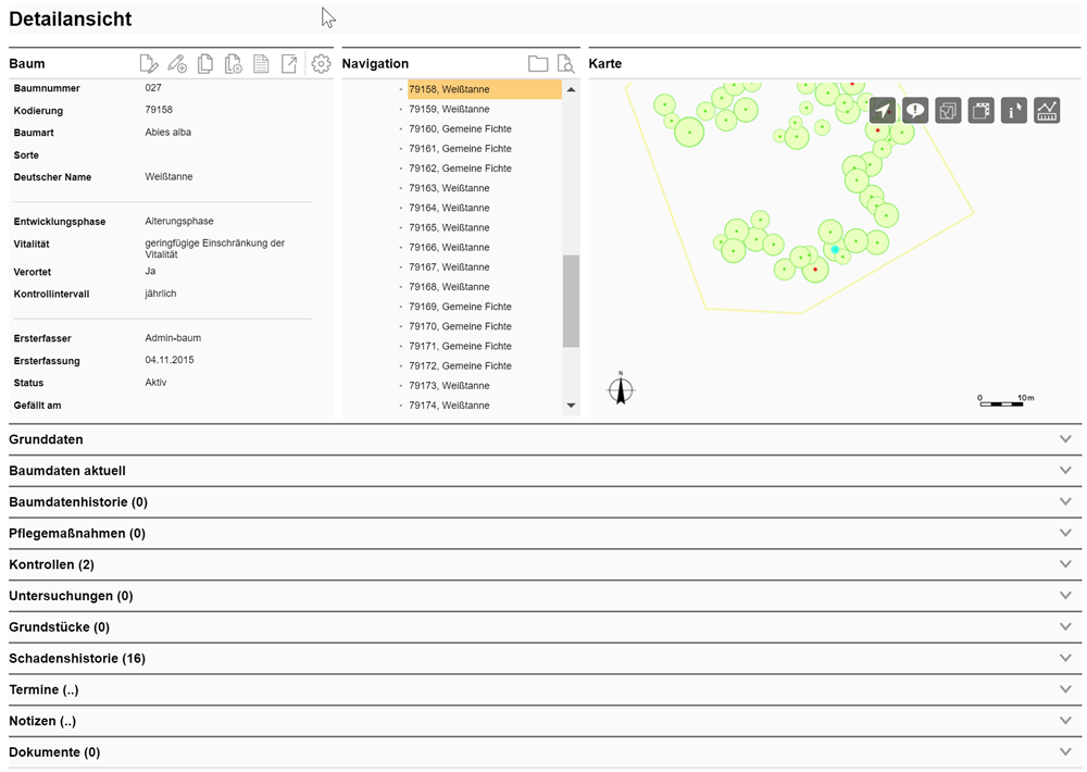 Detailansicht Baum
