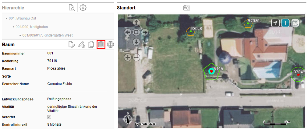 Aufruf Bericht in der Detailansicht Baum