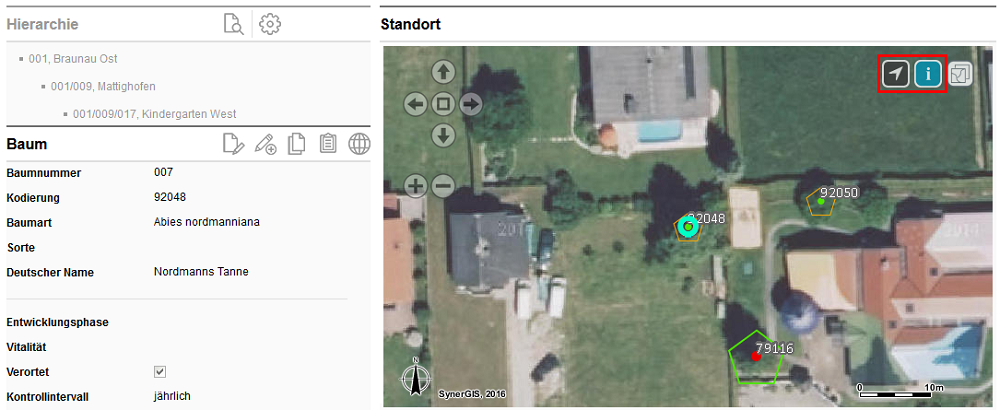 Detailansicht eines verorteten Baumes