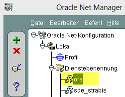 Net Service Name Bezeichnung im Oracle Net Manager