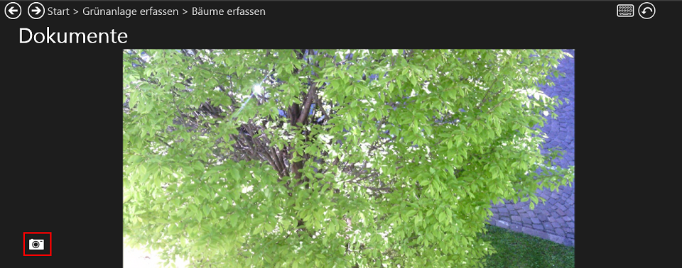 Foto auslösen Foto auslösen