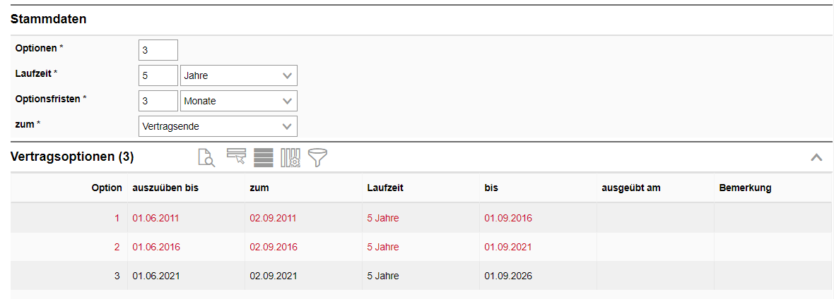 22a_Übersicht Vertragsoptionen