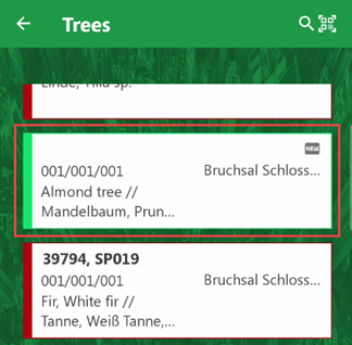 g-app-tree-9