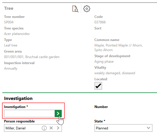 tree-investigation-3
