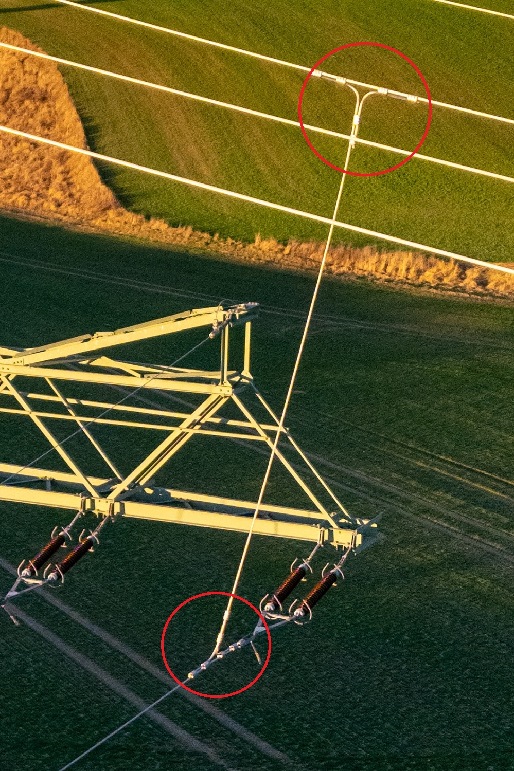 ELE_HVConductorBranch