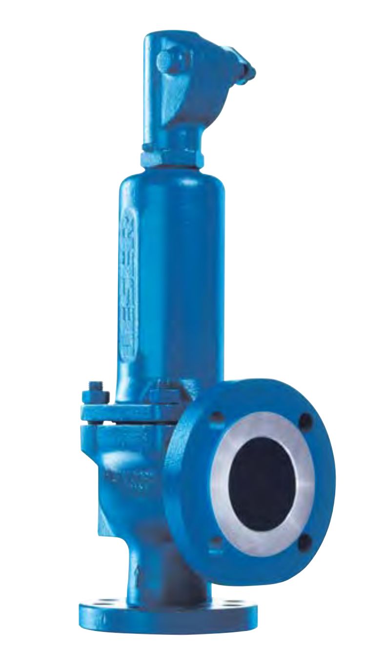 Flange spring pressure relief valve (https://www.leser.com/)