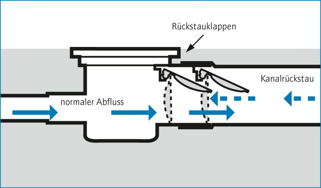 NonReturnValve__In_Out